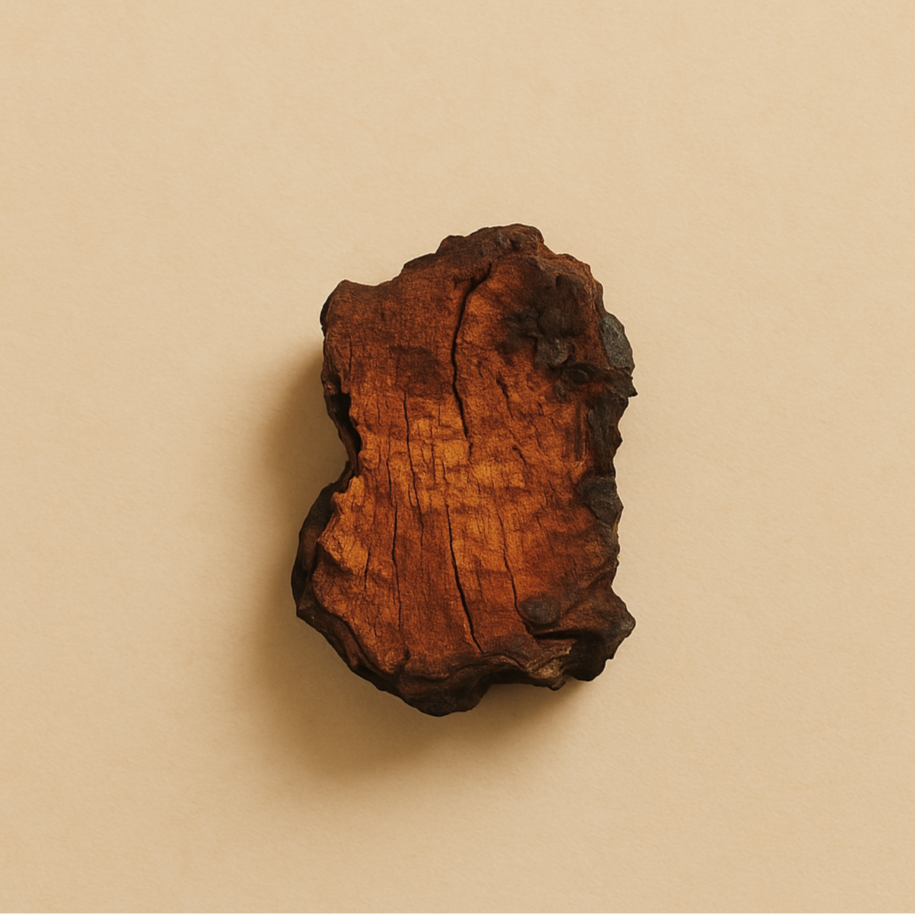 Chaga mushroom extract – a powerful adaptogen rich in antioxidants, traditionally used to support immune function and overall vitality in functional cacao blends