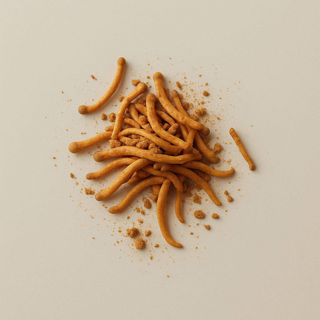 Organic Cordyceps mushroom extract – used in functional cacao blends to naturally boost energy, athletic performance, and endurance without caffeine.